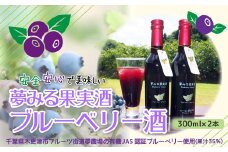 KAA002 ＜有機栽培ブルーベリー使用＞夢みる果実ブルーベリー酒　300ml×2本 ふるさと納税 ブルーベリー ブルーベリージュース アントシアニン 千葉県 木更津市 送料無料