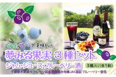 KAA004 ＜有機栽培ブルーベリー使用＞夢みる果実ブルーベリー 加工品３種セット ふるさと納税 ブルーベリー ブルーベリージュース ジャム アントシアニン 千葉県 木更津市 送料無料