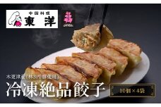 KR002 【木更津産(林SPF豚使用)】冷凍絶品餃子(10個×4袋) ふるさと納税 餃子 中華 ぎょうざ ギョウザ 本格 お店の味 人気 おつまみ おかず 千葉県 木更津 送料無料
