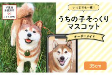 KH001 いつまでも一緒！うちの子そっくりマスコット35cm　羊毛フェルト犬猫オーダーのお店「山田羊毛雑貨店」 ふるさと納税 ペット 犬 猫 うさぎ リアル 可愛い ファンシー 手作り 一点もの オリジナル 千葉県 木更津市 送料無料