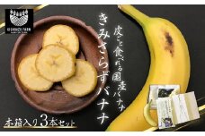  【2025年2月より発送開始】＜希少な純国産バナナ＞きみさらずバナナ 木箱入り 3本セット ふるさと納税 バナナ 希少 レア 贈答 プレゼント 健康 栄養 千葉県 木更津 送料無料 KAF001