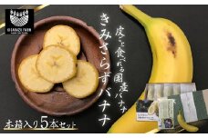  【2025年2月より発送開始】＜希少な純国産バナナ＞きみさらずバナナ 木箱入り 5本セット ふるさと納税 バナナ 希少 レア 贈答 プレゼント 健康 栄養 千葉県 木更津 送料無料 KAF002 