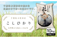 【令和6年産新米】千葉県木更津産こしひかり10kg（10kg×1） KW001 ふるさと納税 米 10kg コシヒカリ 精米 白米 ごはん おにぎり お茶漬け 主食 炭水化物 千葉県 木更津市 送料無料