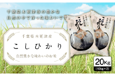 【令和6年産新米】千葉県木更津産こしひかり20kg（10kg×2） KW003 ふるさと納税 米 20kg コシヒカリ 精米 白米 ごはん おにぎり お茶漬け 主食 炭水化物 千葉県 木更津市 送料無料