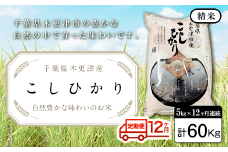 KW006 ＜12ヶ月定期便＞千葉県木更津産 精米こしひかり5kg×12ヶ月連続 計60kg