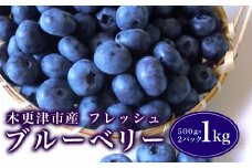 木更津市産 フレッシュ ブルーベリー １kg（５００ｇ×２パック） ふるさと納税 ブルーベリー ベリー フレッシュ 無農薬 大粒 大粒ブルーベリー ジャム ブルーベリージャム 期間限定 木更津 千葉県 送料無料 KCA001