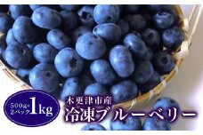 木更津市産 冷凍ブルーベリー １kg（５００ｇ×２パック） ふるさと納税 ブルーベリー 冷凍 木更津 千葉県 送料無料 KCA002