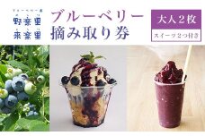 ブルーベリー園のらりくらり摘み取り券（大人２枚）スイーツ（２名様分） ふるさと納税 ブルーベリー 摘み取り体験 体験 摘み取り券 チケット 無農薬 木更津 千葉県 送料無料 KCA006