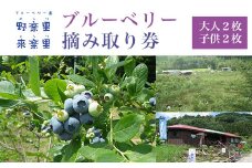 ブルーベリー園のらりくらり摘み取り券（大人２枚・子供２枚） ふるさと納税 ブルーベリー 摘み取り体験 体験 摘み取り券 チケット 無農薬 木更津 千葉県 送料無料 KCA004