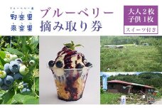 ブルーベリー園のらりくらり摘み取り券（大人２枚・子供１枚）スイーツ（１名様分） ふるさと納税 ブルーベリー 摘み取り体験 体験 摘み取り券 チケット 無農薬 木更津 千葉県 送料無料 KCA005