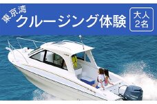 東京湾クルージング体験＜大人２名＞ ふるさと納税 クルージング 東京湾 アクアライン 体験 千葉県 木更津  送料無料 KN007