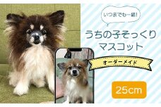 いつまでも一緒！うちの子そっくりマスコット25cm ふるさと納税 ペット 犬 猫 うさぎ リアル 可愛い ファンシー 手作り 一点もの オリジナル 千葉県 木更津市 送料無料