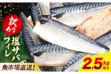 【訳あり】木更津魚市場直送！不揃い塩サバフィーレ 2.5㎏以上 塩サバ 塩さば 塩鯖 サバ さば 鯖 訳あり 訳アリ 訳有 切身 切り身 フィーレ  冷凍 千葉県 木更津市 送料無料 鯖の切り身 サバの切り身 さばの切り身 脂 2.5kg 2.5キロ 2kg 2キロ 海鮮 家庭用 冷凍塩サバ 冷凍塩鯖 冷凍塩さば 不揃い 不ぞろい お弁当 おかず ふるさと納税 KJ011