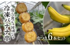  【2025年2月より発送開始】冷凍バナナ串　皮つき６本セット