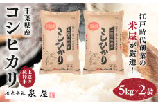 【数量限定】【厳選】千葉県産 上総の純粋米 コシヒカリ 5kg×2 / KCV001 / コシヒカリ こしひかり お米 米 こめ うるち米 うるち精米 千葉県 木更津市 送料無料 数量限定 限定