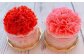 季節ごとのイベントのお菓子も取り入れ、店内のディスプレイは見るだけでも楽しい