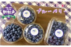 AY002 完熟ブルーベリー500g