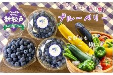 AY003 完熟ブルーベリーと夏野菜5品種のセット