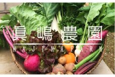 AE001 季節のおまかせ野菜セット