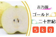 【吉乃園】松戸の完熟梨「ゴールド二十世紀」5kg