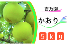  【吉乃園】松戸の完熟梨「かおり」5kg