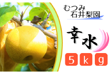 【むつみ石井梨園】松戸の新鮮もぎたて梨「幸水」5kg