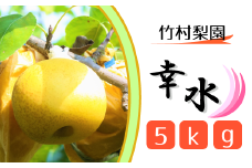 CG006 【竹村梨園】松戸の完熟梨「幸水」5kg