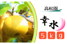 CL003 【高松園】松戸の完熟梨「幸水」5kg