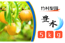 CG004 【竹村梨園】松戸の完熟梨「豊水」5kg