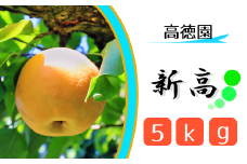 CB002 【高徳園】松戸の完熟梨「新高」5kg