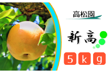CL004 【高松園】松戸の完熟梨「新高」5kg