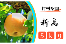CG005 【竹村梨園】松戸の完熟梨「新高」5kg