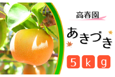 CH003 【高春園】松戸の完熟梨「あきづき」5kg