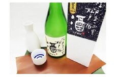 清酒・聖泉　純米松戸宿