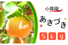 CN005 【小暮園】松戸の完熟梨「あきづき」5kg