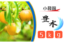 CN004 【小暮園】松戸の完熟梨「豊水」5kg
