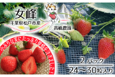 DO003【高橋農園】千葉県松戸市産いちご（女峰）2パック