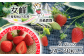 全国で生産量１％未満！小ぶりで果肉にたっぷりの愛情を注ぎました！