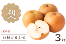 【真嶋園】松戸の完熟梨 品種おまかせ 3kg