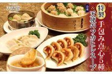 【天廣堂】天使のフカヒレスープ3食分と特製手包み点心5種セット