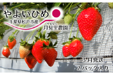 EH001-b 【月見里農園】千葉県松戸市産いちご（やよいひめ）2パック　3月発送