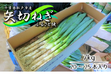 EK006 平川さん家の矢切ねぎ ふるさと便 7kg