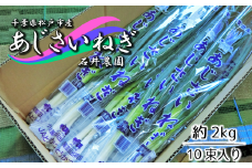 ES001 石井さん家のあじさいねぎ 約2kg