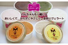 わんちゃんと一緒に！ドッグジェラート&飼い主様用ジェラート 6個