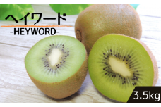 CH004【高春園】松戸産 キウイフルーツ 3.5kg(品種：ヘイワード)
