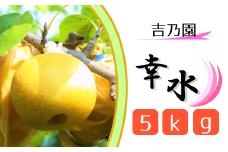 【吉乃園】松戸の完熟梨「幸水」5kg