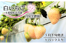 EH003-e 【月見里農園】千葉県松戸市産白いちご　1パック　3月下旬発送