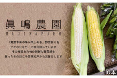 AE005 千葉県松戸市からお届け 品種おまかせ とうもろこし10本セット
