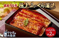【六歌撰】国産うなぎ＜極上＞ふっくら蒲焼 2枚入り うなぎ 国産 蒲焼 2枚 220g 丑の日 老舗 極上 ふっくら 職人 六歌撰 手焼き ギフト 父の日 母の日 お取り冷凍 贈り物 誕生日 プレゼント 敬老の日 お祝い 贈答用 お返し おすすめ 松戸市 松戸 千葉県 千葉