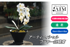 DF008 アーティフィシャルフラワー胡蝶蘭鉢